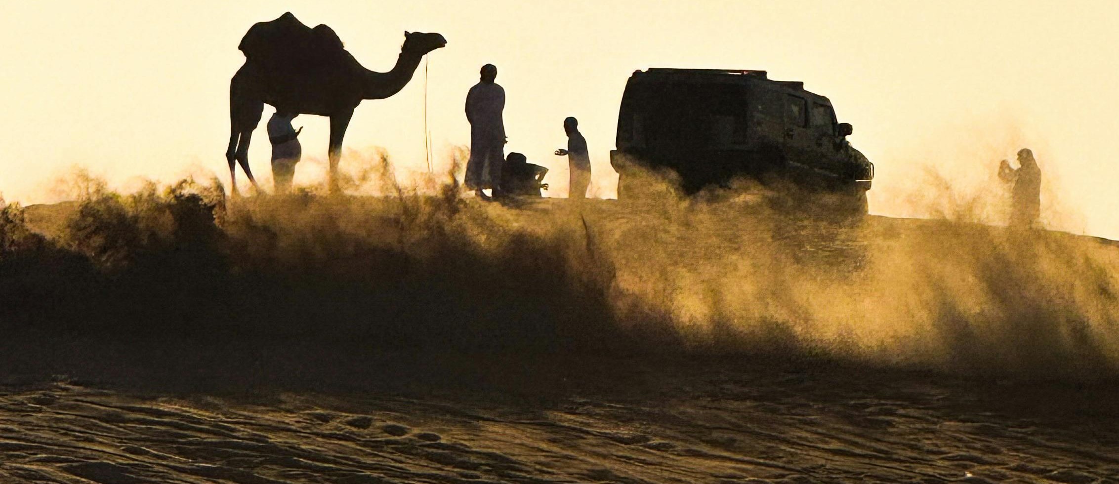 Dubai desert safari with vehicle and camel at sunset