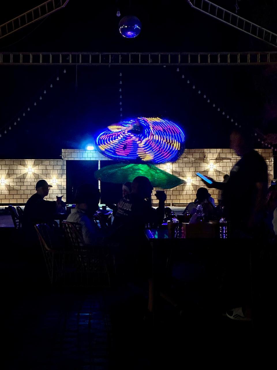 Real Safari Moment 67