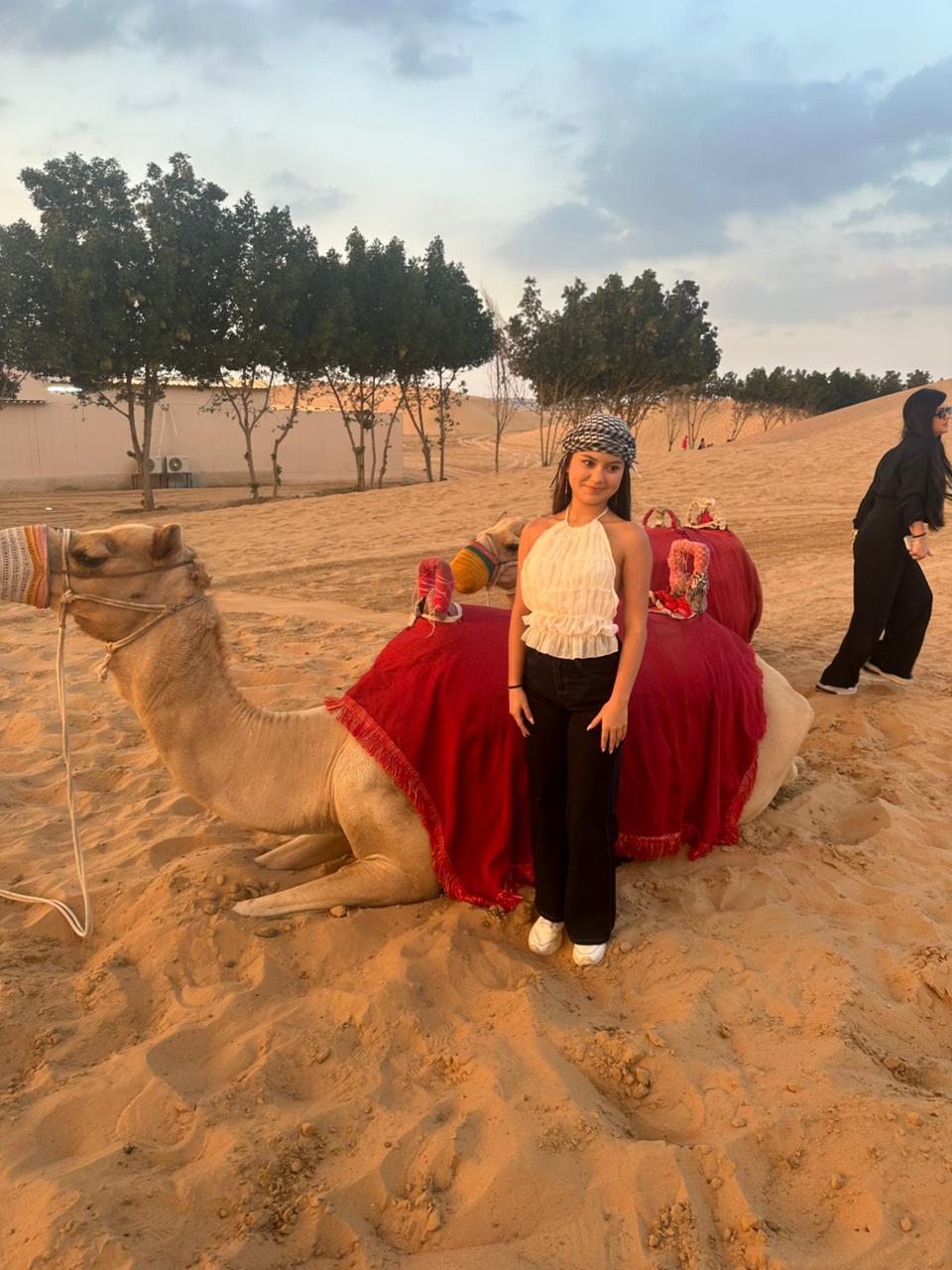 Real Safari Moment 18