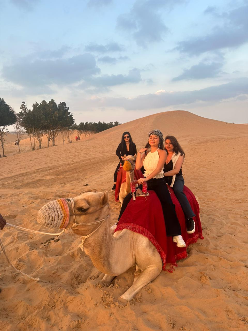 Real Safari Moment 19